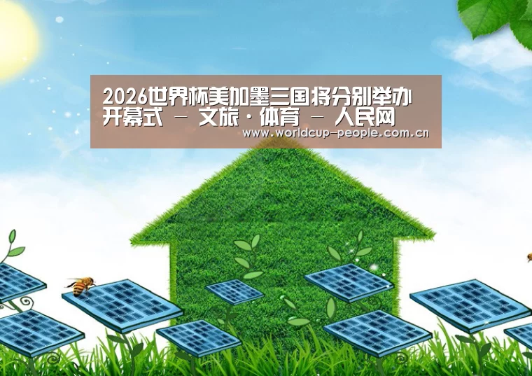 世界杯赛组公司