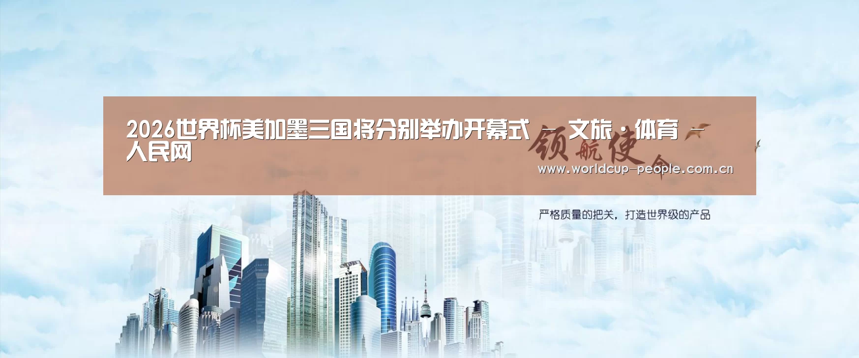 世界杯赛组公司