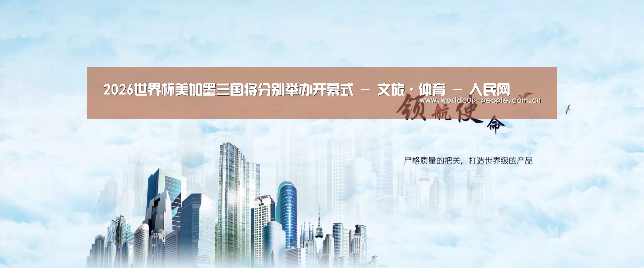 世界杯赛组公司
