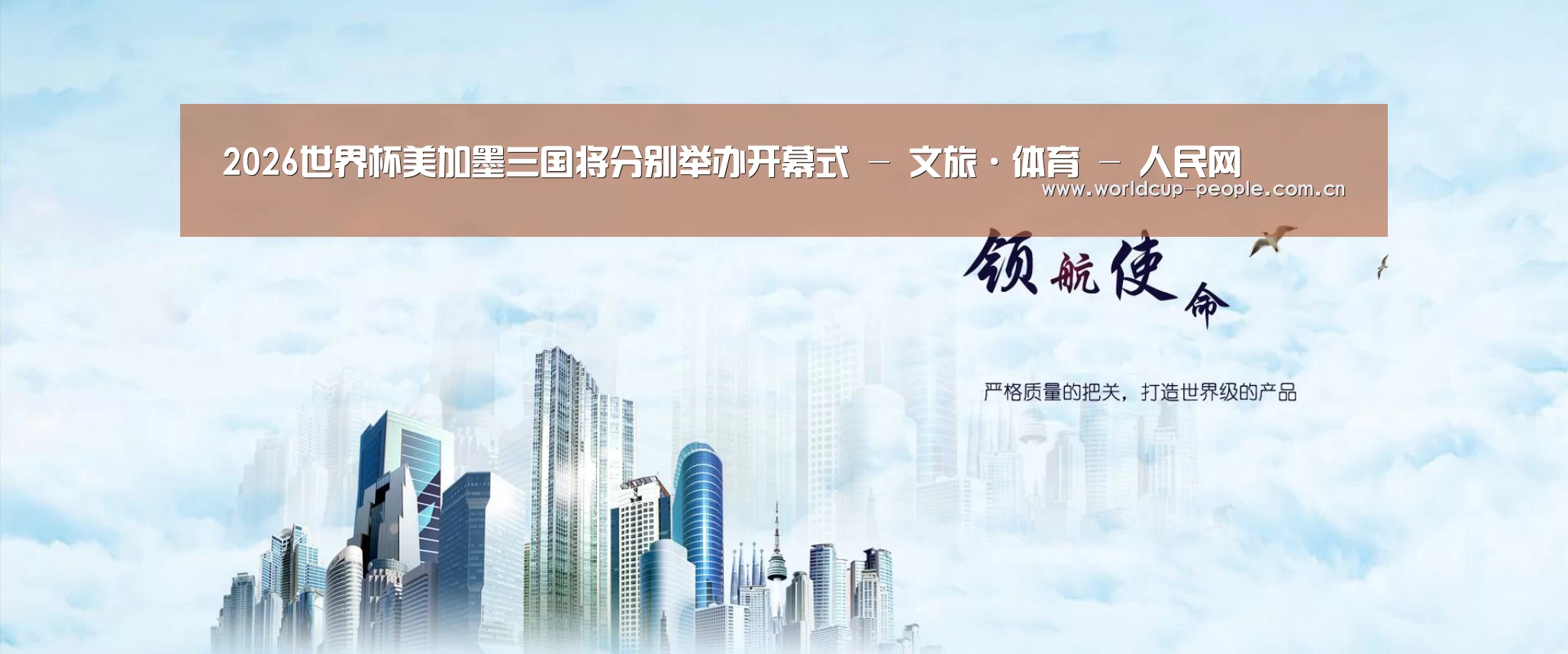 世界杯赛组公司