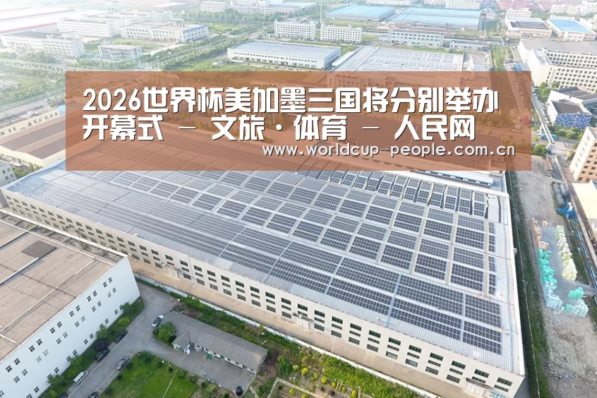 案例展示一