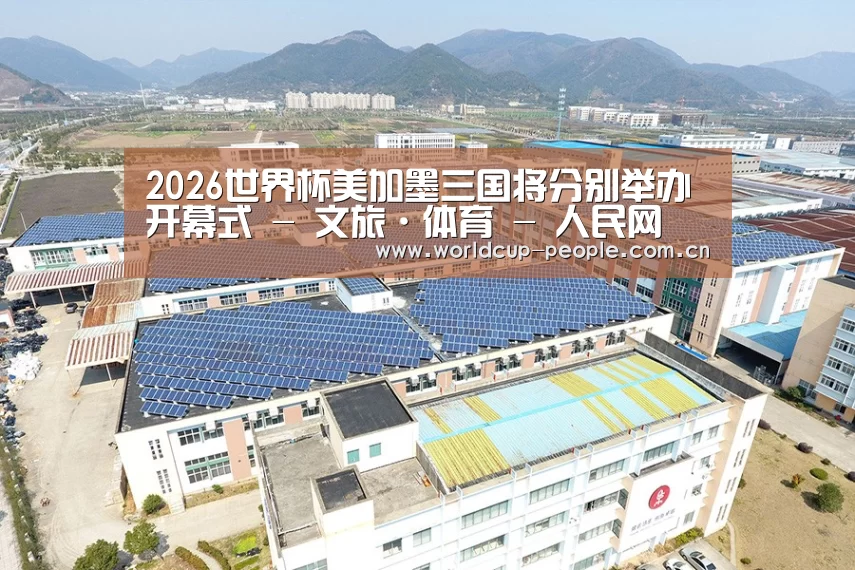 案例展示一