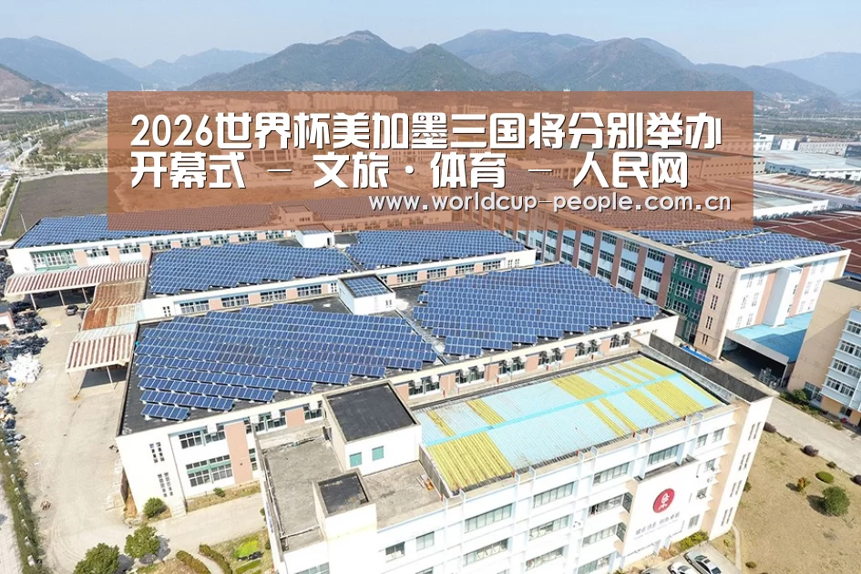 案例展示四