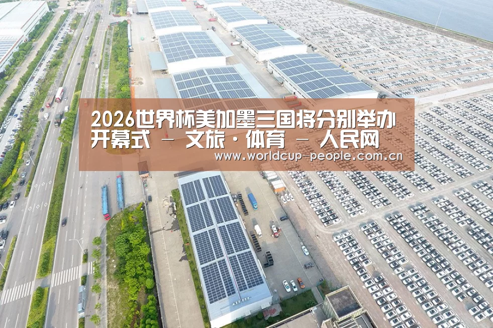 案例展示一