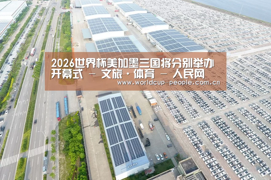案例展示四